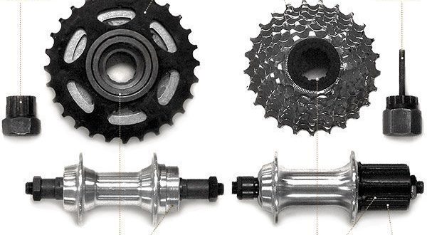 Quelle est la différence entre une cassette et un cliquet sur un vélo ?