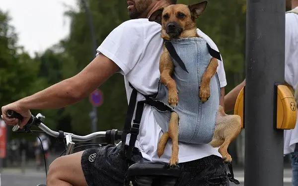 un sac à dos pour le transport d'un chien sur un vélo