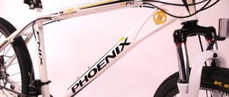 Vélo Phoenix - avantages et inconvénients, conseils de sélection