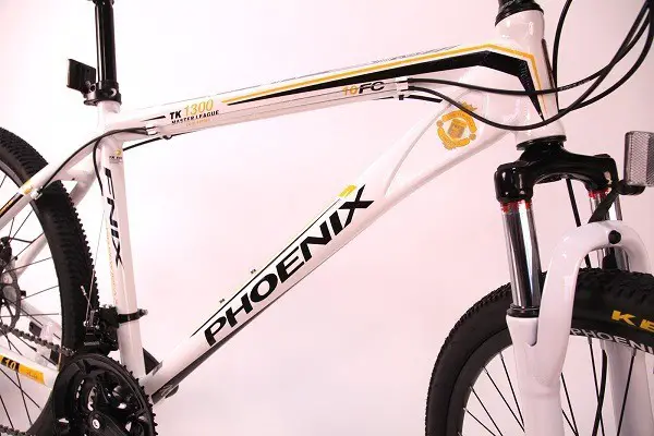 Vélo Phoenix