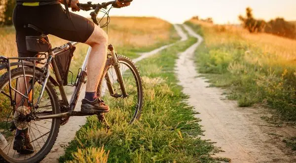 Vélo pour la forêt et la ville - quel vélo choisir ?