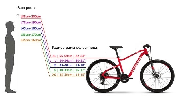 la taille du cadre du vélo en hauteur